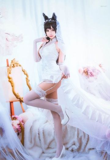 靠逼的视频