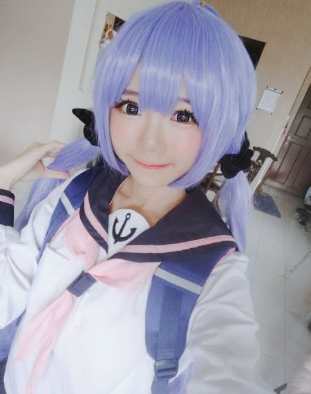 花心野玫瑰